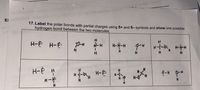 E>
17. Label the polar bonds with partial charges using õ+ and 6- symbols and show one possible
hydrogen bond between the two molecules.
H-P H-È
H-N-H
ガーH
N-H
H.
H.
H.
H.
H.
H.
H-È H
H.
F-H 0-H
H-Q
H.
H-N:
H
HIM-
