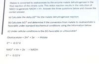 Malate is converted to oxaloacetate by the enzyme malate dehydrogenase in the
final reaction of the citrate cycle. This redox reaction results in the reduction of
NAD+ to generate NADH + H+. Answer the three questions below and choose the
correct answer.
(a) Calculate the delta AE for the malate dehydrogenase reaction.
(b) Calculate AG and determine if the conversion from malate to oxaloacetate is
favorable under standard biochemical conditions using the information below.
(c) Under cellular conditions is the AG favorable or unfavorable?
Oxaloacetate + 2H* + 2e- --> Malate
E° = -0.17 V
NAD* + H+ + 2e- --> NADH
E°' = -0.32 V
