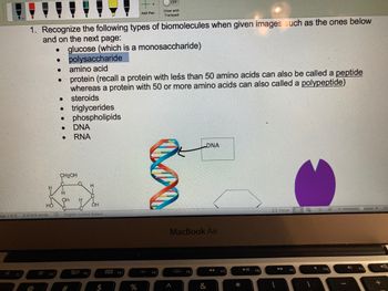 age 2 of 9
FI
1. Recognize the following types of biomolecules when given images such as the ones below
and on the next page:
● glucose (which is a monosaccharide)
HO
0 of 618 words
F2
●
●
● amino acid
protein (recall a protein with less than 50 amino acids can also be called a peptide
whereas a protein with 50 or more amino acids can also called a polypeptide)
steroids
polysaccharide
●
• triglycerides
●
● phospholipids
●
●
DNA
RNA
CH₂OH
H
OH H
H
OH
English (United States)
20 F3
$
+: OFF
Draw with
Add Pen
Trackpad
000
%
F5
MacBook Air
A
DNA
F6
&
◄◄
F7
*
► 11
F8
Focus
F9
R
F10
-
F11
212