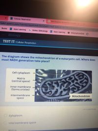 Cellular Respiration
G the diagram shows the mitocho x
erials2.apexvs.com/Tutorial/App#!Unit/2b2a9e85-19a9-4afb-9118-130505f46094/Module/416216af-a99
Books
Apex Learning
G Home | Schoology
Apex Learning
Information NOW
Biology
TEST IT: Cellular Respiration
The diagram shows the mitochondrion of a eukaryotic cell. Where does
most NADH generation take place?
Cell cytoplasm
Matrix
(central space)
Inner membrane
(forms cristae)
Mitochondrion
Intermembrane
space
2 of 4 QUESTIONS
O Cytoplasm
OIntermembrane space
Matrix
