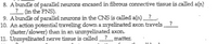 8. A bundle of parallel neurons encased in fibrous connective tissue is called a(n) _______? (in the PNS).

9. A bundle of parallel neurons in the CNS is called a(n) _______?

10. An action potential traveling down a myelinated axon travels _______ (faster/slower) than in an unmyelinated axon.

11. Unmyelinated nerve tissue is called _______? matter.