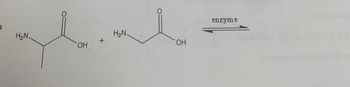 )
H₂N
OH
+
H₂N.
OH
enzyme