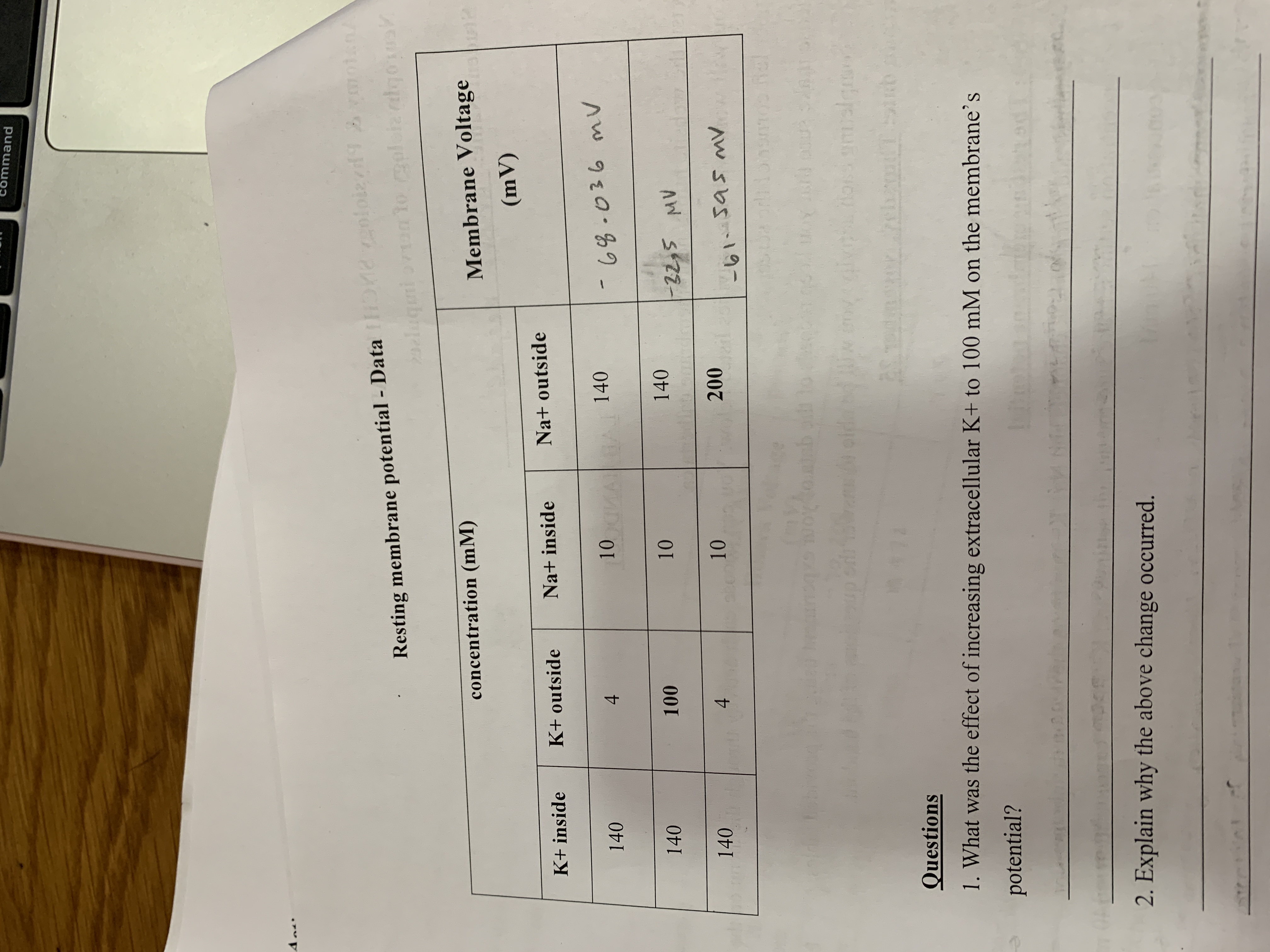 **Resting Membrane Potential - Data**

| Concentration (mM) | K⁺ Inside | K⁺ Outside | Na⁺ Inside | Na⁺ Outside | Membrane Voltage (mV) |
|---------------------|-----------|------------|------------|-------------|-----------------------|
|                     | 140       | 4          | 10         | 140         | -68.036               |
|                     | 140       | 100        | 10         | 140         | -22.5                 |
|                     | 140       | 4          | 10         | 200         | -61.545               |

**Questions**

1. What was the effect of increasing extracellular K⁺ to 100 mM on the membrane's potential?

2. Explain why the above change occurred. 

**Explanation of Data**

This table represents the changes in membrane voltage (mV) with different ionic concentrations (in mM) inside and outside the cell. The first row is the baseline scenario, with typical K⁺ and Na⁺ distribution, showing a membrane voltage of -68.036 mV. The second row indicates an increase in extracellular K⁺ concentration to 100 mM, resulting in a membrane voltage shift to -22.5 mV. The third row examines an increase in extracellular Na⁺ to 200 mM, with the voltage changing to -61.545 mV.

Readers are encouraged to consider how these changes affect the resting membrane potential, reflecting on the Nernst equation and the principles of ionic equilibrium across a cell membrane.