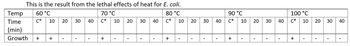 This is the result from the lethal effects of heat for E. coli.
60 °C
80 °C
70 °C
C*
C* 10
C* 10 20
Temp
Time
(min)
Growth +
+
20 30 40
-
I
+
10 20 30
-
40
+
I
30
I
40
I
90 °C
*****
C* 10 20 30
+
-
I
100 °C
40 C* 10 20
+
30
-
40
I