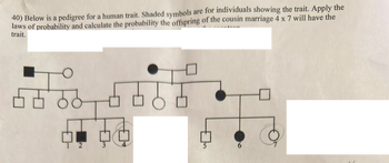 40) Below is a pedigree for a human trait. Shaded symbols are for individuals showing the trait. Apply the
laws of probability and calculate the probability the offspring of the cousin marriage 4 x 7 will have the
trait.
568
12