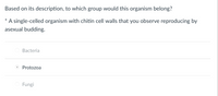 ### Question
Based on its description, to which group would this organism belong?

*A single-celled organism with chitin cell walls that you observe reproducing by asexual budding.*

- Bacteria
- Protozoa (Selected)
- Fungi