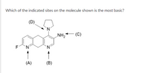 Which of the indicated sites on the molecule shown is the most basic?
(D).
NH2
(C)
F
(A)
(B)
