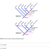 Answered: Rodents & Rabbits Crocodiles Dinosaurs… 