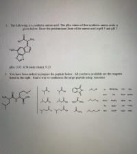 1. The following is a synthetic amino acid. The pKa values of this synthetic amino acids is
given below. Draw the predominant form of the amino acid at pH 3 and pH 7.
NH2
HO
N.
H2N-
