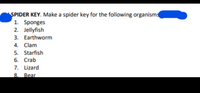 SPIDER KEY. Make a spider key for the following organisms
1. Sponges
2. Jellyfish
3. Earthworm
4. Clam
5. Starfish
6. Crab
7. Lizard
8.
Bear
