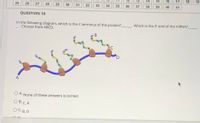 12
13
14
15
16
17
18
19
25
26
27
28
29
30
31
32
33
34
35
36
37
38
39
40
41
QUESTION 10
In the following diagram, which is the C terminus of the protein?
Choose from ABCD.
Which is the 5' end of the mRNA?
B
A
O A. None of these answers is correct
О В. С, А
O C. B, D
