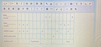 U S X
DNA
GC
A.
strand
DNA
T.
AC
TAC
strand
MRNA codon
A
UG
G.
G.
ERNA anticodon
Amino acid
Tryptophan
Stop
