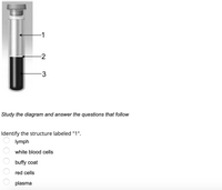 -2
-3
Study the diagram and answer the questions that follow
Identify the structure labeled "1".
lymph
white blood cells
buffy coat
red cells
plasma
