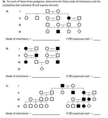 **Pedigree Analysis for Inheritance Patterns**

**III. For each of these three pedigrees, determine the likely mode of inheritance and the probability that individual with a diamond symbol will express the trait.**

**Pedigree A:**

- A pedigree chart showing four generations.
- Generation I consists of one couple.
- Generation II shows three offspring, highlighted by one filled circle indicating the trait expression.
- Generation III has five offspring, without filled symbols.
- Generation IV shows three offspring, with one filled square indicating trait expression, and one diamond symbol needing analysis.

**Questions:**
- Mode of inheritance: ____________________
- Probability that individual ⬥ expresses the trait: _____

**Pedigree B:**

- A second pedigree chart, also with four generations.
- Generation I includes one filled symbol out of three individuals.
- Generation II consists of two filled squares among four individuals.
- Generation III has two individuals, both without the trait.
- Generation IV is a single individual represented by a diamond symbol.

**Questions:**
- Mode of inheritance: ____________________
- Probability that individual ⬥ expresses the trait: _____

**Pedigree C:**

- A third pedigree chart, featuring four generations.
- Generation I has three individuals, with one filled square.
- Generation II includes seven individuals with three filled symbols.
- Generation III shows five individuals with two filled squares.
- Generation IV displays five individuals with two filled symbols and a diamond symbol needing analysis.

**Questions:**
- Mode of inheritance: ____________________
- Probability that individual ⬥ expresses the trait: _____

This exercise involves identifying patterns of genetic inheritance and calculating probabilities based on the presented pedigrees.
