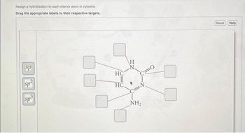 Assign a hybridization to each interior atom in cytosine.
Drag the appropriate labels to their respective targets.
sp
sp
sp
HC
HC.
H
N.
NH₂
Reset Help