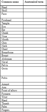 Common name
Head
Skull
Face
Forehead
Temple
Eye
Ear
Cheek
Nose
Mouth
Chin
Neck
Chest
Breastbone
Breast
Abdomen
Navel
Pelvis
Groin
Pubis
Armpit
Arm
Front of elbow
Forearm
Wrist
Hand
Thumb
Palm
Fingers
Anatomical term