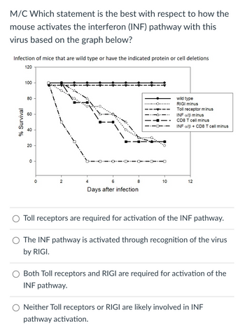 M/C Which statement is the best with respect to how the
mouse activates the interferon (INF) pathway with this
virus based on the graph below?
Infection of mice that are wild type or have the indicated protein or cell deletions
120
100
80
% Survival
40
60
60
20
20
0
0
2
4
T
6
Days after infection
wild type
RIGI minus
Toll receptor minus
INF a/ẞ minus
CD8 T cell minus
INF a/ẞ + CD8 T cell minus
8
10
12
Toll receptors are required for activation of the INF pathway.
The INF pathway is activated through recognition of the virus
by RIGI.
Both Toll receptors and RIGI are required for activation of the
INF pathway.
Neither Toll receptors or RIGI are likely involved in INF
pathway activation.