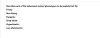 Describe each of the behavioral mutant phenotypes in dorsophila fruit fly:
Fruity:
Non-flying:
Paralytic:
Drop-dead:
Hyperkinetic:
non-phototactic:
