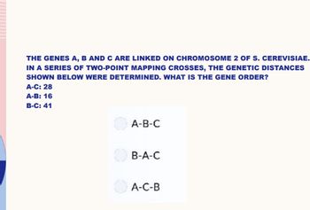 THE GENES A, B AND C ARE LINKED ON CHROMOSOME 2 OF S. CEREVISIAE.
IN A SERIES OF TWO-POINT MAPPING CROSSES, THE GENETIC DISTANCES
SHOWN BELOW WERE DETERMINED. WHAT IS THE GENE ORDER?
A-C: 28
A-B: 16
B-C: 41
A-B-C
B-A-C
A-C-B