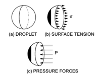 (a) DROPLET (b) SURFACE TENSION
(c) PRESSURE FORCES
P.
