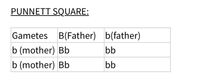 PUNNETT SQUARE:
Gametes B(Father) b(father)
b (mother) Bb
bb
b (mother) Bb
bb
