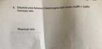 **Dihybrid Cross Between Two Heterozygous Individuals**

Consider a genetic cross between two heterozygous individuals for two traits (genotype: AaBb x AaBb).

- **Genotype Ratio:** This indicates the possible genetic combinations for the offspring, based on the combination of alleles received from each parent.

- **Phenotype Ratio:** This ratio describes the observable characteristics of the offspring that arise from the genotype combinations.

To analyze a dihybrid cross like this, one can use a Punnett square to visualize and calculate the expected ratios. In a typical dihybrid cross of this nature, the phenotypic ratio usually observed is 9:3:3:1 for the combination of traits, assuming Mendelian inheritance without linkage or epistasis.