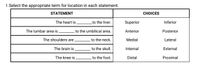 1.Select the appropriate term for location in each statement.
STATEMENT
CHOICES
The heart is
_to the liver.
Superior
Inferior
The lumbar area is
to the umbilical area.
Anterior
Posterior
The shoulders are.
to the neck.
Medial
Lateral
The brain is
to the skull.
Internal
External
The knee is
to the foot.
Distal
Proximal
