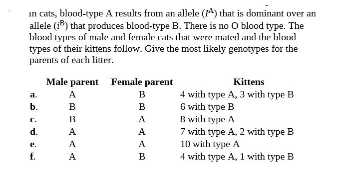 in cats, blood-type A results from an allele (IA) that is dominant over an
allele (iB) that produces blood-type B. There is no O blood type. The
blood types of male and female cats that were mated and the blood
types of their kittens follow. Give the most likely genotypes for the
parents of each litter.
Male parent Female parent
Kittens
4 with type A, 3 with type B
6 with type B
8 with type A
7 with type A, 2 with type B
10 with type A
4 with type A, 1 with type B
a.
A
в
b.
B
B
C.
B
A
d.
A
A
e.
A
A
f.
A
B
