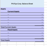 Phillips Corp. Balance Sheet
Assets
Current Assets
...
...
...
...
...
Total Current Assets
Fixed Assets
...
...
...
Total Assets
...
: : : : :
: :
