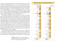 Deletion origin of cri du chat syndrome
of known and unknown function. The abnormal phenotype is thus
caused by haploinsufficiency of one or more of these 17 genes.
Sequence analysis also reveals the origin of this deletion because
the normal sequence is bounded by repeated copies of a gene called
PMS, which happens to encode a DNA-repair protein. As we have
seen, repeated sequences can act as substrates for unequal crossing
over. A crossover between flanking copies of PMS on opposite ends
of the 17-gene segment leads to a duplication (not found) and a Wil-
liams syndrome deletion, as shown in Figure 17-23.
Most human deletions, such as those that we have just consid-
ered, arise spontaneously in the gonads of a normal parent of an
affected person; thus, no signs of the deletions are usually found in
the chromosomes of the parents. Less commonly, deletion-bearing
individuals appear among the offspring of an individual having an
undetected balanced rearrangement of chromosomes. For example,
cri du chat syndrome can result from a parent heterozygous for a
reciprocal translocation, because (as we will see) segregation pro-
duces deletions. Deletions may also result from recombination
within a heterozygote having a pericentric inversion (an inversion
spanning the centromere) on one chromosome. Both mechanisms
will be detailed later in the chapter.
Animals and plants show differences in the survival of gametes
or offspring that bear deletions. A male animal with a deletion in
one chromosome produces sperm carrying one or the other of the
two chromosomes in approximately equal numbers. These sperm
15.3
Deletion
15.2
15.1
15.1
P 1 14
1 14
13
13
12
12
11
11.1
11.2
11.2
12
12
13
13
14
14
15
15
-21-
-21-
22
22
2
23
23
-31-
-31-
32
32
3
33
3
33
34
34
FIGURE 17-22 Cri du chat syndrome is
caused by the loss of the tip of the short arm of
one of the homologs of chromosome 5.
35
35
Normal 5
Deleted 5
