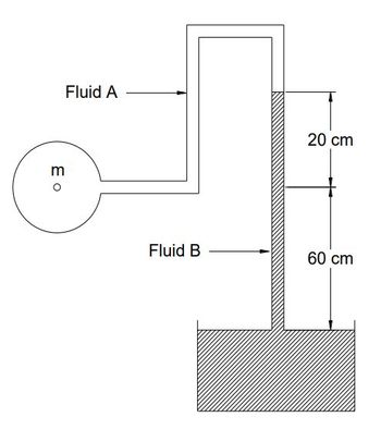 Answered: E O M Fluid A Fluid B 20 Cm 60 Cm | Bartleby