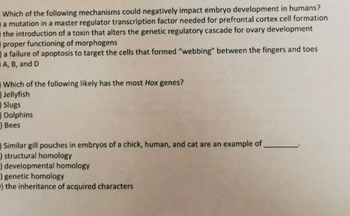 Title: Embryo Development and Genetic Mechanisms

1) Which of the following mechanisms could negatively impact embryo development in humans?
   - A mutation in a master regulator transcription factor needed for prefrontal cortex cell formation
   - The introduction of a toxin that alters the genetic regulatory cascade for ovary development
   - Improper functioning of morphogens
   - A failure of apoptosis to target the cells that formed “webbing” between the fingers and toes
   - **Answer:** A, B, and D

2) Which of the following likely has the most Hox genes?
   - Jellyfish
   - Slugs
   - Dolphins
   - Bees
   - **Answer:** Dolphins

3) Similar gill pouches in embryos of a chick, human, and cat are an example of:
   - Structural homology
   - Developmental homology
   - Genetic homology
   - The inheritance of acquired characters
   - **Answer:** Developmental homology