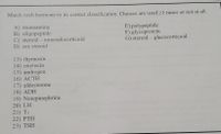 Match each hormone to its correct classification. Choices are used >1 times or not at all.
A) monoamine
B) oligopeptide
C) steroid- mineralocorticoid
D) sex steroid
E) polypeptide
F) glycoprotein
G) steroid – glucocorticoid
13) thymosin
14) oxytocin
15) androgen
16) ACTH
17) aldosterone
18) ADH
19) Norepinephrine
20) LH
21) T3
22) PTH
23) TSH
