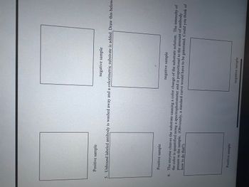 Positive sample
negative sample
5. Unbound labeled antibody is washed away and a colorimetric substrate is added. Draw this below
Positive sample
negative sample
6. The enzyme cleaves the substrate causing a color change of the substrate solution. The intensity of
the color is quantified using a spectrophotometer and is proportional to the amount of antibody
how to do that?).
present in the sample. (Obviously, a standard curve would have to be generated. Could you think of
Positive sample
negative sample
