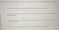 How does the hypothalamus influence the posterior and anterior lobes of the pituitary gland? Select all that apply.
The anterior pituitary lobe secretes hormones that were made inside the hypothalamus.
The anterior pituitary lobe produces hormones, but their release is controlled by hormones released from
the hypothalamus.
The posterior pituitary lobe produces hormones, but their release is controlled by hormones released
from the hypothalamus.
The posterior pituitary lobe secretes hormones that were made inside the hypothalamus.
