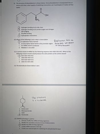 3) How do the a and ẞ anomer of a sugar differ?
a anorve
a.
By the configuration of the acetal carbon in the ring form
b.
c.
By whether a ketone or aldehyde is present in the straight chained form
By the presence/absence of a 2' OH
d. By whether the OH on the last chiral center is pointed right or left in the Fischer
projection of the straight chained form
4) A salt bridge can occur as part of the
apply)
a. Primary structure
b. Secondary structure
Tertiary structure
d. . Quaternary structure
of a protein (select all that
5) True or false: A protein that has been denatured via exposure to acidic conditions is guaranteed
to return to its original structure once it has been placed into a neutral environment.
a. True
b False
6) Why is solid phase peptide synthesis involving a peptide synthesizer generally preferred over
solution phase (select all that apply)
It leads to less waste
b. It is less dangerous
It is more reliable
It is easier to obtain a pure product
7) What kind of molecules are linked via a glycosidic linkage?
a. Amino acids
b. Fatty acids
C.
Monosaccharides
d. Nucleotides
8) How are D- and L-amino acids related?
a. They are structural isomers
b. They are diastereomers
c.
C.
They are conformers
d.
They are enantiomers
91
of