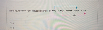 In the figure on the right reduction is (A) or (B) 6CO₂ + 6H₂0
O
A
B
(A)
CH120 60₂
(B)