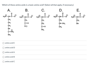 Which of these amino acids is a basic amino acid? (Select all that apply, if necessary.)
A.
B.
C.
D.
O
MNCHI MCHEⓇ
||
H₂N-
H₂N-
CH-C-
CH₂
CH₂
CH₂
C=O
CH₂
Oe
NH
+
C=NH2
NH₂
amino acid E
amino acid D
amino acid A
amino acid B
amino acid C
H₂N-CH-
CH₂
T
CH₂
C=O
T
NH₂
H₂NⓇ
용_。
CH₂
CH-CH3
CH3
E.
H₂N-CH-C-0
CH₂
OH