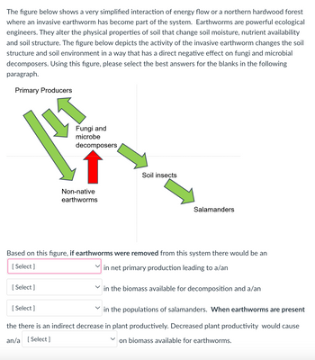 The figure below shows a very simplified interaction of energy flow or a northern hardwood forest
where an invasive earthworm has become part of the system. Earthworms are powerful ecological
engineers. They alter the physical properties of soil that change soil moisture, nutrient availability
and soil structure. The figure below depicts the activity of the invasive earthworm changes the soil
structure and soil environment in a way that has a direct negative effect on fungi and microbial
decomposers. Using this figure, please select the best answers for the blanks in the following
paragraph.
Primary Producers
HT
P
[Select]
Fungi and
microbe
decomposers
[Select]
Non-native
earthworms
Soil insects
Based on this figure, if earthworms were removed from this system there would be an
Select]
in net primary production leading to a/an
Salamanders
in the biomass available for decomposition and a/an
in the populations of salamanders. When earthworms are present
the there is an indirect decrease in plant productively. Decreased plant productivity would cause
an/a [Select]
on biomass available for earthworms.