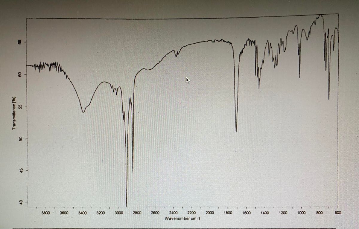 methyl salicylate ir