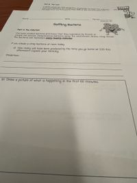 Each hour following the initial dose, aoenicillin to treat this infection
Part B The Cure
A doctor prescribes 5o0 milligrams of
the body fram +he ndin
of the concentntion r
Date
Period:
Name
Interim #3
Baffling Bacterla
Part A The Infection
We have studied bacteria and know that they reproduce by fission or
simple cell division Streptococcus bacteria cause the well-known illness, strep throat,
The bacteria can reproduce every twenty minutes
If you Inhale a strep bacteria at noon today.
a) How many will have been produced by the time you go home at 3:30 this
afternoon? Explain your thinking.
Prediction:
b) Draw a picture of what is happening in the first 60 minutes.
