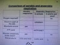 Answered: 14 Comparison of aerobic and anaerobic… | bartleby
