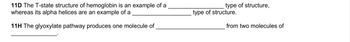 **11D** The T-state structure of hemoglobin is an example of a __________________ type of structure, whereas its alpha helices are an example of a __________________ type of structure.

**11H** The glyoxylate pathway produces one molecule of __________________ from two molecules of __________________.