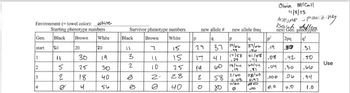 Environment (= towel color): white
Starting phenotype numbers
Black
Brown White
Gen.
start
1
2
3
4
ho
5
2
20
30
25
18
J
70
19
30
40
ما5
Survivor phenotype numbers
Brown
White
7
Black
11
3
2
il
10
2-
15
15
25
28
40
P
new allele #
fu
2
9
29
17 41
60
으
P
37 24/06
.44
17/58
29
new allele freq
9
37/06
56
58
80
14/74
19
2/60
0.03
0180
41/58
ור.
60/94
58/60
0.97
280
LPD
p²
Olivia McCall
11/8/23
ADRUMM spaulding
next Gen. genotypes
q²
.19
.08
1.04
.000
0.0
2pq
ga
.42
.30
.06
0.0
.31
.50
ماما .
.94
1.0
Use