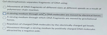 Gel electrophoresis separates fragments of DNA using:
Movement of DNA fragments of different sizes at different speeds as a result of
polymerase chain reaction.
A sieving medium through whi DNA molecules are moved by electrical forces.
A sieving medium through which DNA fragments are moved by gravitational
forces.
Repulsion of charged DNA molecules by the electrically charged gel beads.
Movement through a sieving medium by positively charged DNA molecules
attracted by a negative pole.