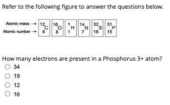 **Refer to the following figure to answer the questions below.**

[Description of Figure: The figure shows atomic mass and atomic number for five distinct elements: Carbon, Oxygen, Hydrogen, Nitrogen, and Phosphorus. These elements and their respective atomic masses and atomic numbers are presented in boxes as follows:]

- **Carbon (C):**
  - Atomic mass: 12
  - Atomic number: 6

- **Oxygen (O):**
  - Atomic mass: 16
  - Atomic number: 8

- **Hydrogen (H):**
  - Atomic mass: 1
  - Atomic number: 1

- **Nitrogen (N):**
  - Atomic mass: 14
  - Atomic number: 7

- **Sulfur (S):**
  - Atomic mass: 32
  - Atomic number: 16

- **Phosphorus (P):**
  - Atomic mass: 31
  - Atomic number: 15

**Question:**
How many electrons are present in a Phosphorus 3+ atom?

A. 34

B. 19

C. 12

D. 16

---

**Explanation:**

To determine the number of electrons in a Phosphorus (P) atom with a 3+ charge, we follow these steps:

1. **Determine the number of electrons in a neutral Phosphorus atom:**
   - Atomic number of Phosphorus (P) is 15, so a neutral Phosphorus atom has 15 electrons.

2. **Calculate the effect of the 3+ charge:**
   - A 3+ charge indicates the atom has lost 3 electrons.

3. **Final calculation:**
   - Electrons in neutral Phosphorus atom: 15
   - Electrons lost due to 3+ charge: 3
   - Electrons in Phosphorus 3+ atom: 15 - 3 = 12

Therefore, there are 12 electrons in a Phosphorus 3+ atom.

**Correct Answer: C. 12**