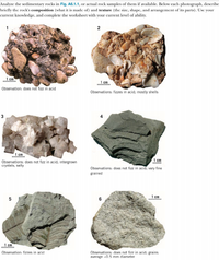 Answered: Analyze the sedimentary rocks in Fig.… | bartleby