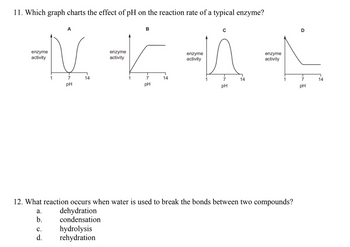 11. Which graph charts the effect of pH on the reaction rate of a typical enzyme?
enzyme
=V
activity
1
7
pH
a.
b.
14
C.
d.
enzyme
activity
hydrolysis
rehydration
1
B
T
7
pH
14
enzyme
activity
7
pH
14
12. What reaction occurs when water is used to break the bonds between two compounds?
dehydration
condensation
enzyme
activity
1
D
pH
14