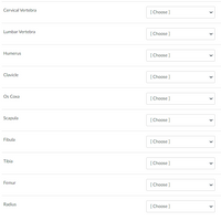 Cervical Vertebra
Lumbar Vertebra
Humerus
Clavicle
Os Coxa
Scapula
Fibula
Tibia
Femur
Radius
[Choose ]
[Choose ]
[Choose ]
[Choose ]
[Choose ]
[Choose]
[Choose]
[Choose ]
[Choose ]
[Choose]