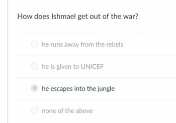 How does Ishmael get out of the war?
he runs away from the rebels
he is given to UNICEF
he escapes into the jungle
none of the above